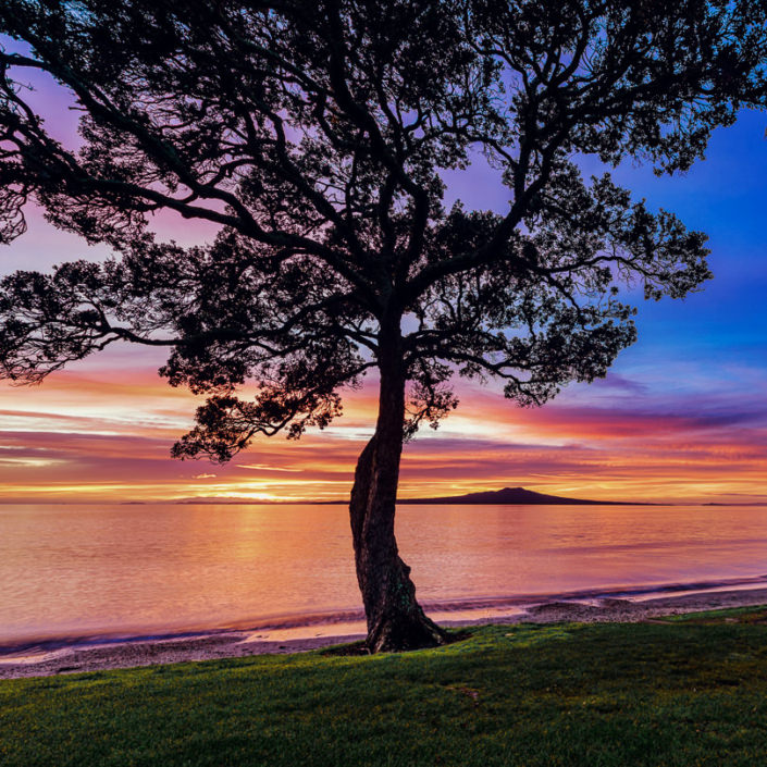 Rangitoto from Takapuna